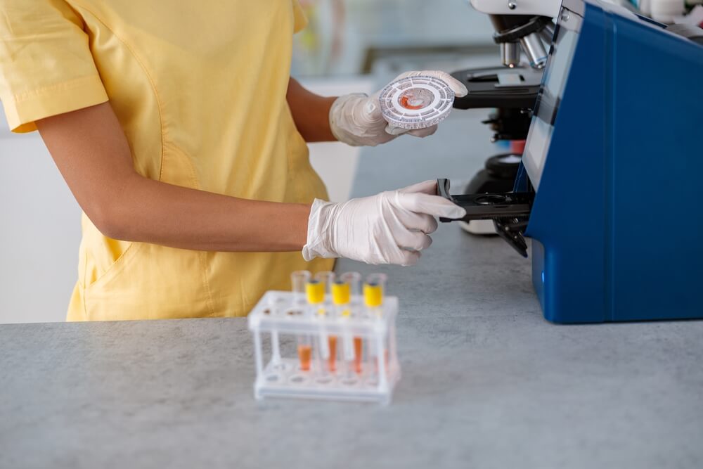 Blood Tests - Understanding Your Pet's Blood Work