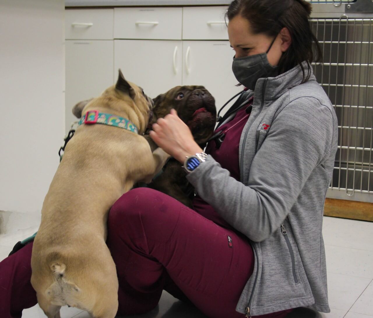A Love For Dogs