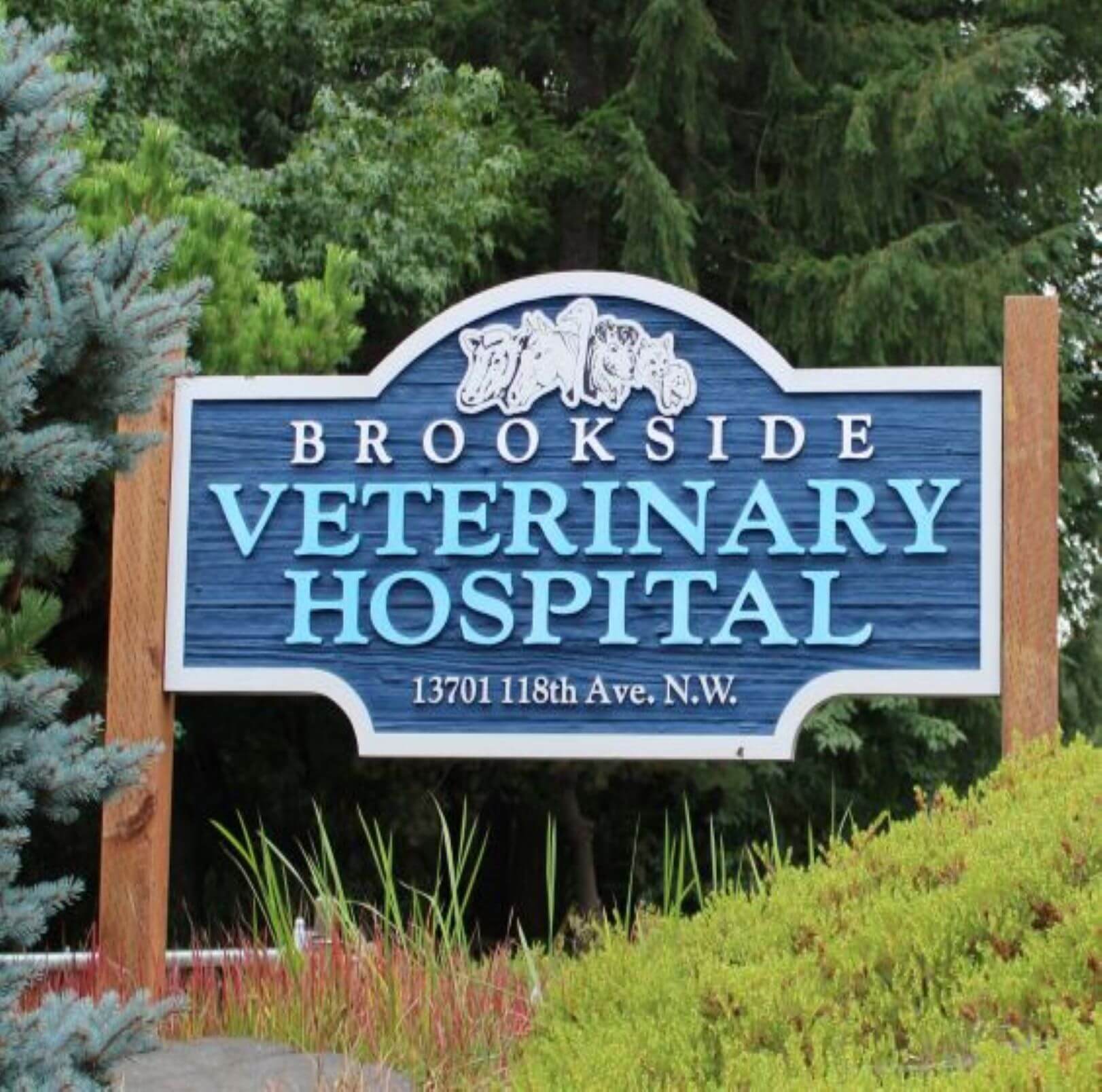 Now Accepting New Patients! 