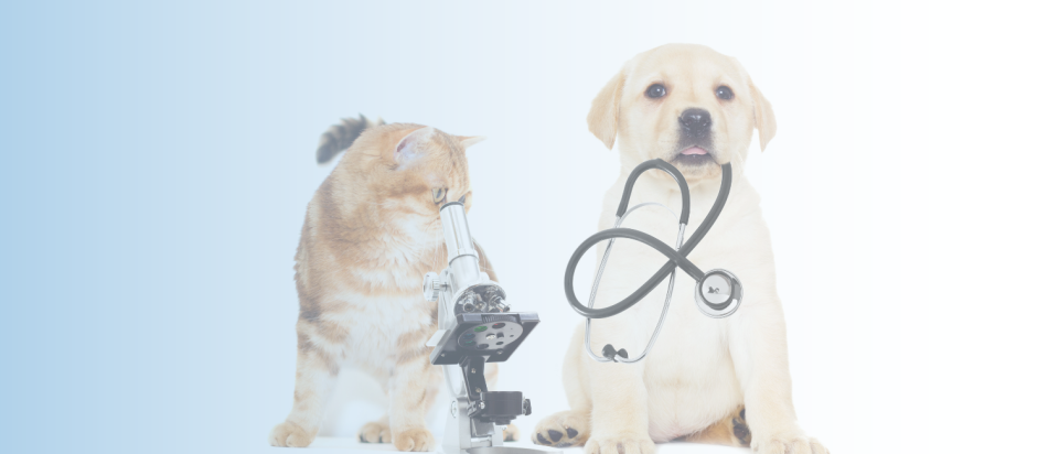 Diagnostics Diagnostics