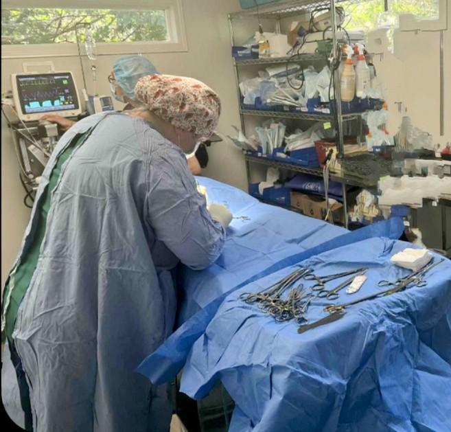 Surgery 