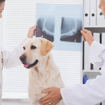 brooksidesurgical.jpg
